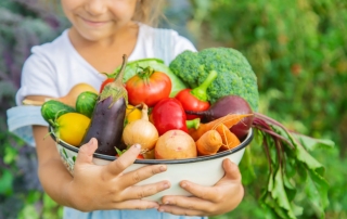 Alimentação saudável